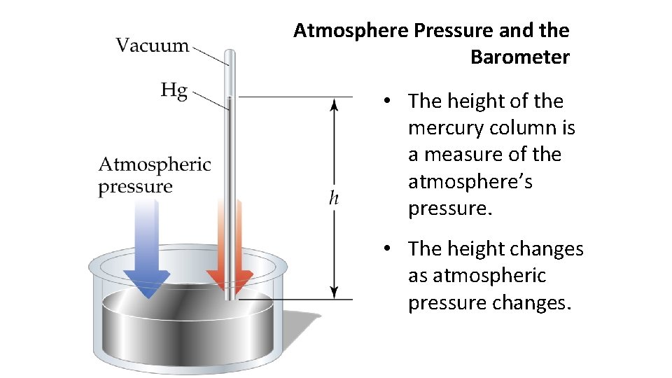 Atmosphere Pressure and the Barometer • The height of the mercury column is a
