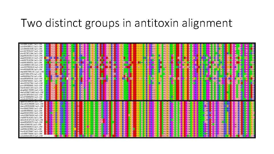 Two distinct groups in antitoxin alignment 