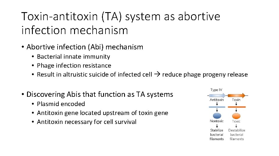 Toxin-antitoxin (TA) system as abortive infection mechanism • Abortive infection (Abi) mechanism • Bacterial