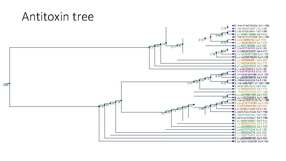 Antitoxin tree 