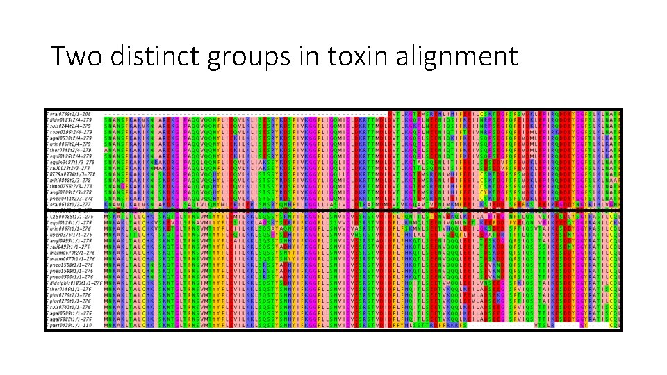 Two distinct groups in toxin alignment 