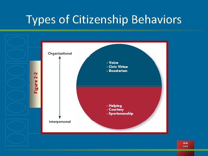 Figure 2 -2 Types of Citizenship Behaviors Slide 2 -14 