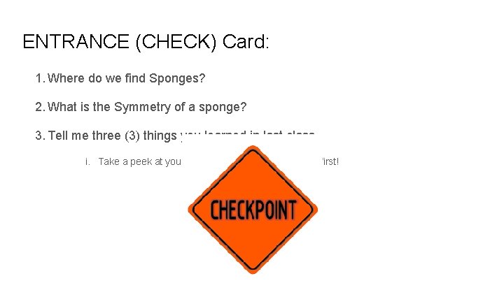 ENTRANCE (CHECK) Card: 1. Where do we find Sponges? 2. What is the Symmetry