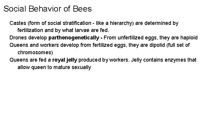 Social Behavior of Bees Castes (form of social stratification - like a hierarchy) are