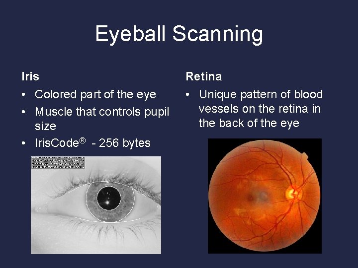 Eyeball Scanning Iris Retina • Colored part of the eye • Muscle that controls