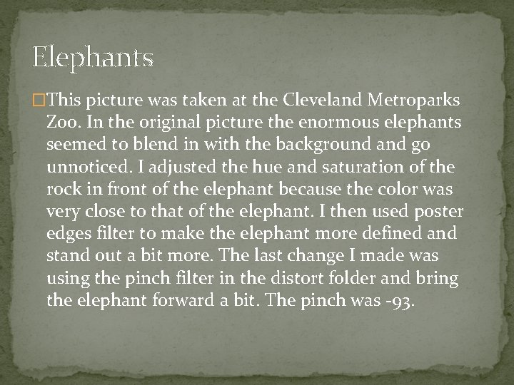 Elephants �This picture was taken at the Cleveland Metroparks Zoo. In the original picture