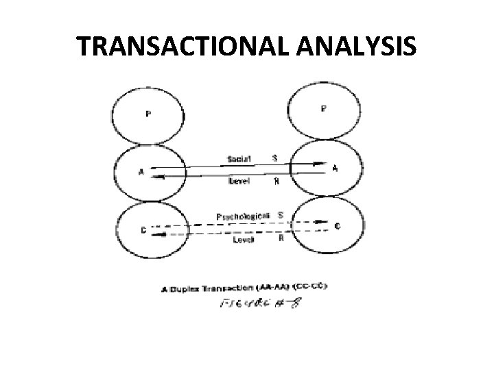 TRANSACTIONAL ANALYSIS  TRANSACTIONAL ANALYSIS