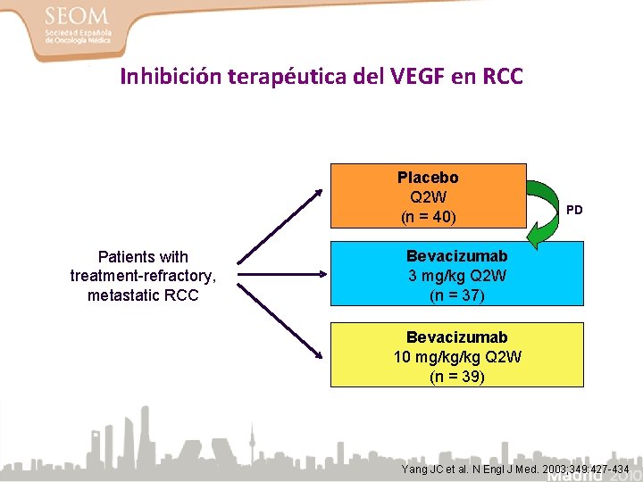 Inhibición terapéutica del VEGF en RCC Placebo Q 2 W (n = 40) Patients