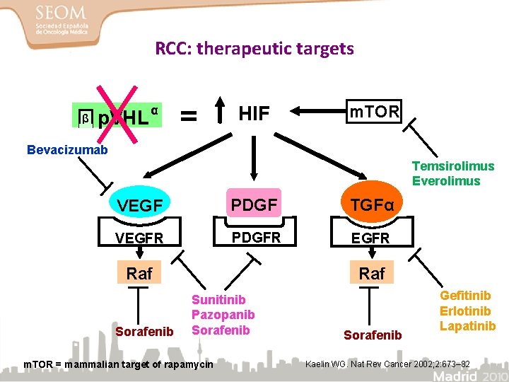 RCC: therapeutic targets β p. VHL α = HIF m. TOR Bevacizumab Temsirolimus Everolimus