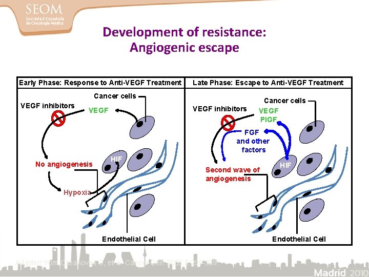 Development of resistance: Angiogenic escape Early Phase: Response to Anti-VEGF Treatment Late Phase: Escape