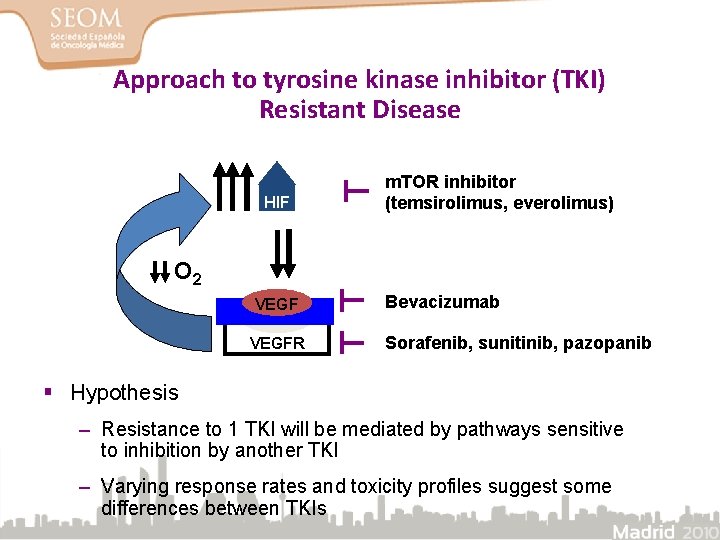 Approach to tyrosine kinase inhibitor (TKI) Resistant Disease HIF m. TOR inhibitor (temsirolimus, everolimus)