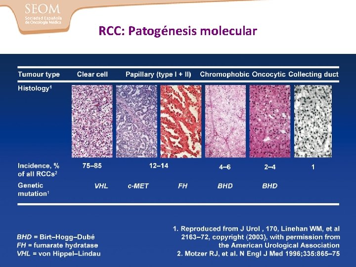 RCC: Patogénesis molecular 