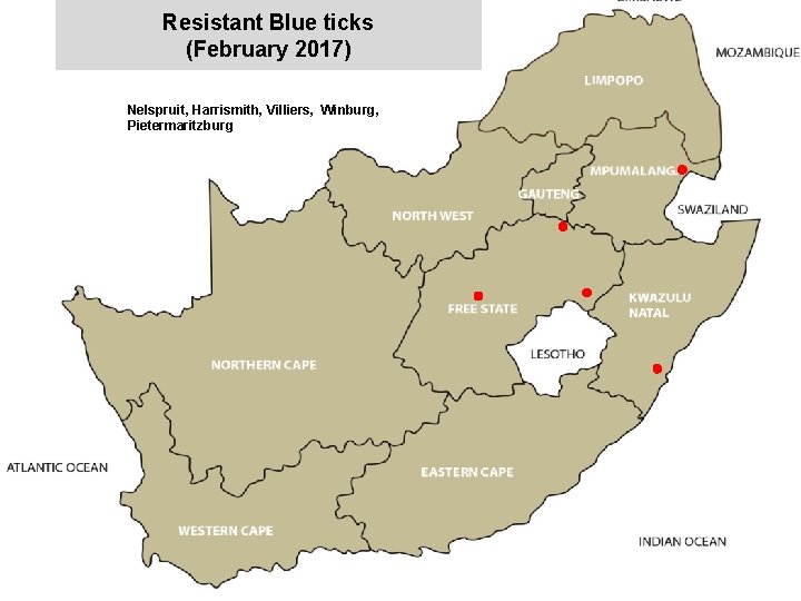 Resistant Blue ticks (February 2017) jkccff Nelspruit, Harrismith, Villiers, Winburg, Pietermaritzburg 