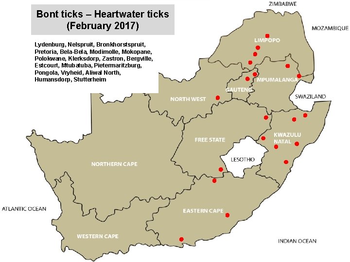 Bont ticks – Heartwater ticks (February 2017) jkccff Lydenburg, Nelspruit, Bronkhorstspruit, Pretoria, Bela-Bela, Modimolle,