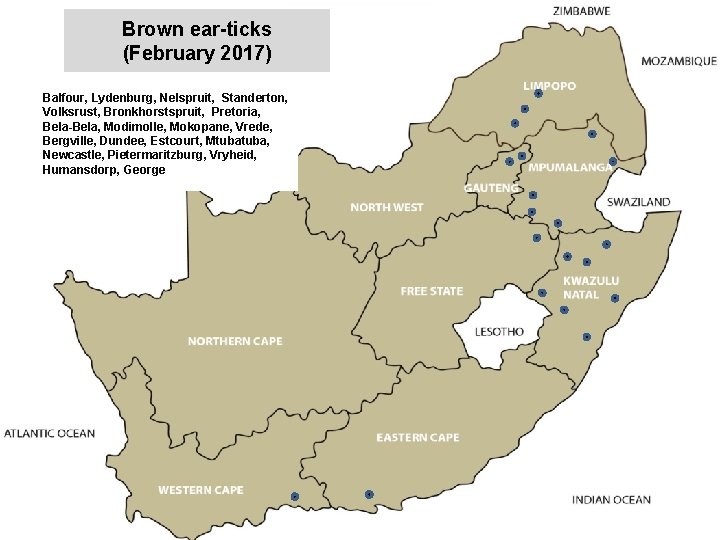Brown ear-ticks (February 2017) Balfour, Lydenburg, Nelspruit, Standerton, Volksrust, Bronkhorstspruit, Pretoria, Bela-Bela, Modimolle, Mokopane,
