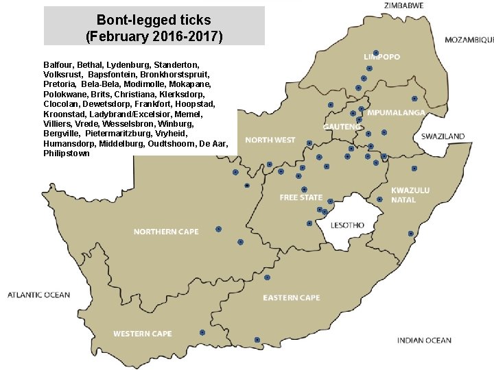 Bont-legged ticks (February 2016 -2017) jkccff Balfour, Bethal, Lydenburg, Standerton, Volksrust, Bapsfontein, Bronkhorstspruit, Pretoria,