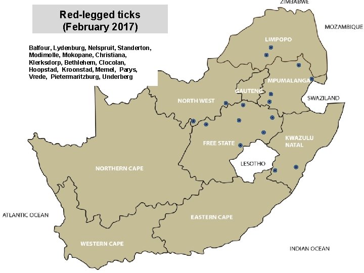 Red-legged ticks (February 2017) Balfour, Lydenburg, Nelspruit, Standerton, Modimolle, Mokopane, Christiana, Klerksdorp, Bethlehem, Clocolan,
