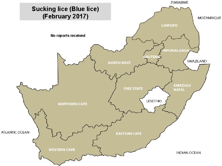 Sucking lice (Blue lice) (February 2017) jkccff No reports received 