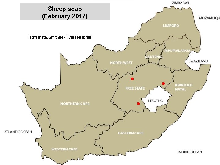 Sheep scab (February 2017) Harrismith, Smithfield, Wesselsbron jkccff 