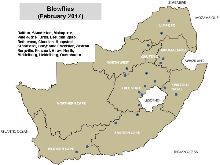 Blowflies (February 2017) Balfour, Standerton, Mokopane, Polokwane, Brits, Leeudoringstad, Bethlehem, Clocolan, Hoopstad, Kroonstad, Ladybrand/Excelsior,