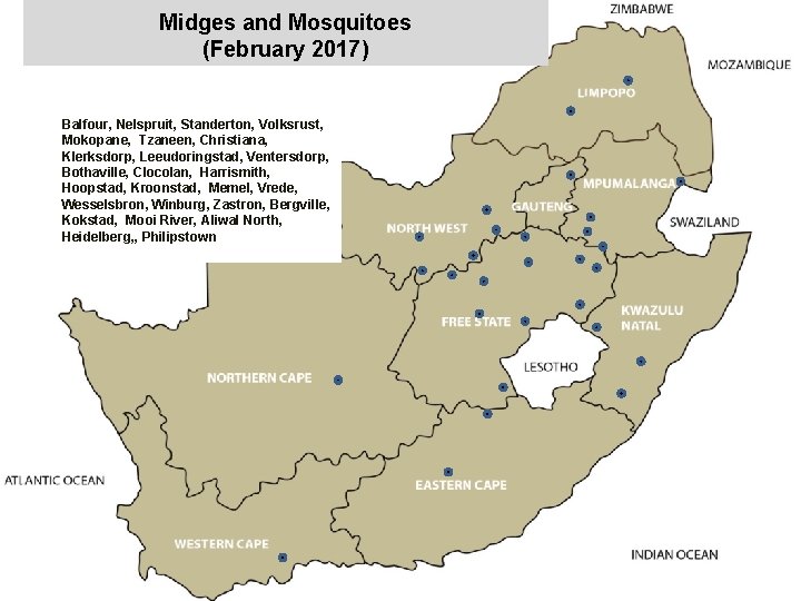 Midges and Mosquitoes (February 2017) jkccff Balfour, Nelspruit, Standerton, Volksrust, Mokopane, Tzaneen, Christiana, Klerksdorp,