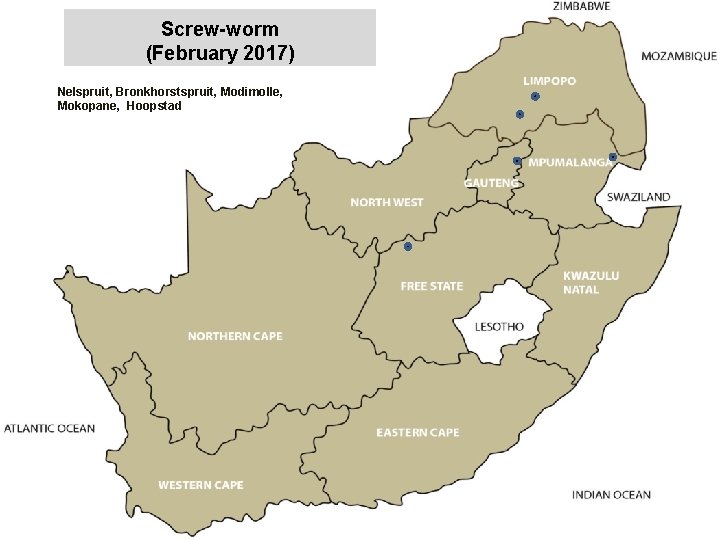 Screw-worm (February 2017) Nelspruit, Bronkhorstspruit, Modimolle, Mokopane, Hoopstad jkccff 