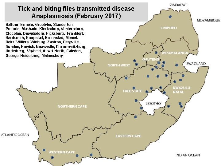 xxxxxxxxxxxxxxxxx Tick and biting flies transmitted disease Anaplasmosis (February 2017) Balfour, Ermelo, Grootvlei, Standerton,