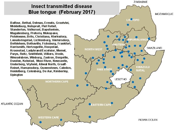 Insect transmitted disease Blue tongue (February 2017) kjkjnmn Balfour, Bethal, Delmas, Ermelo, Grootvlei, Middelburg,