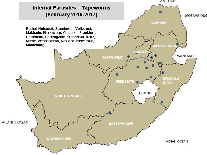 Internal Parasites – Tapeworms (February 2016 -2017) jkccff Bethal, Nelspruit, Standerton, Volksrust, Makhado, Klerksdorp,