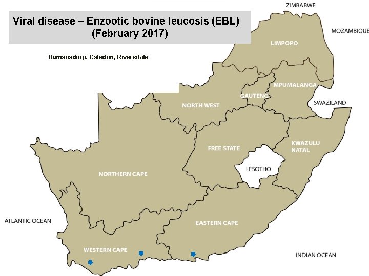 Viral disease – Enzootic bovine leucosis (EBL) (February 2017) kjkjnmn Humansdorp, Caledon, Riversdale 