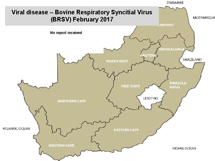 Viral disease – Bovine Respiratory Syncitial Virus (BRSV) February 2017 kjkjnmn No report received