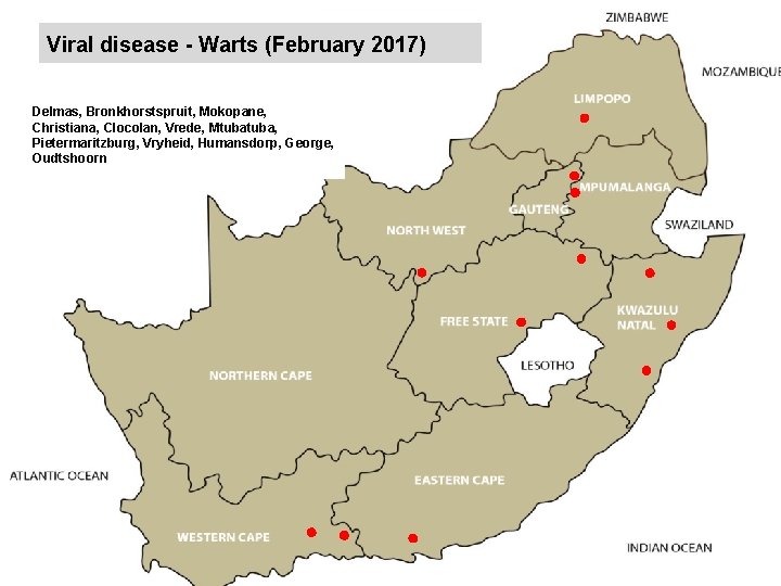 Viral disease - Warts (February 2017) kjkjnmn Delmas, Bronkhorstspruit, Mokopane, Christiana, Clocolan, Vrede, Mtuba,