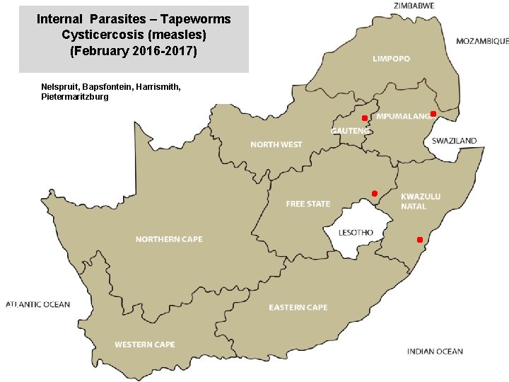 Internal Parasites – Tapeworms Cysticercosis (measles) (February 2016 -2017) jkccff Nelspruit, Bapsfontein, Harrismith, Pietermaritzburg