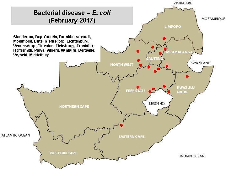 Bacterial disease – E. coli (February 2017) kjkjnmn Standerton, Bapsfontein, Bronkhorstspruit, Modimolle, Brits, Klerksdorp,