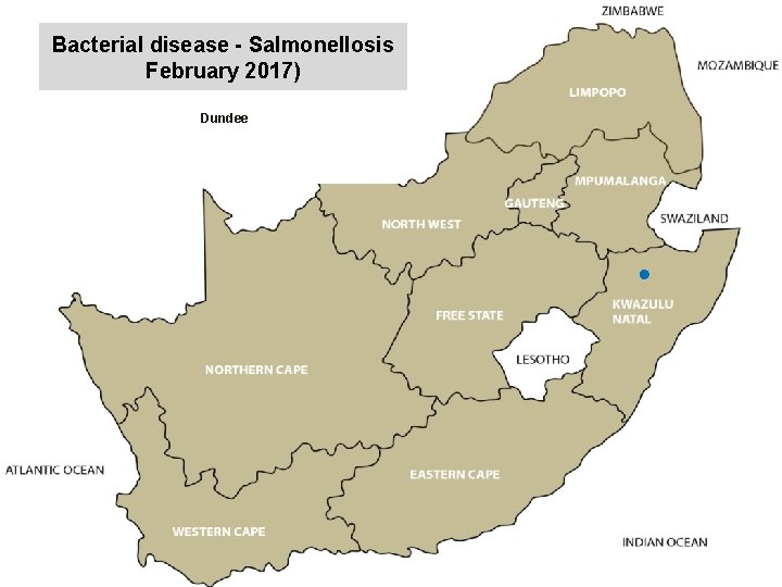 Bacterial disease - Salmonellosis February 2017) kjkjnmn Dundee 