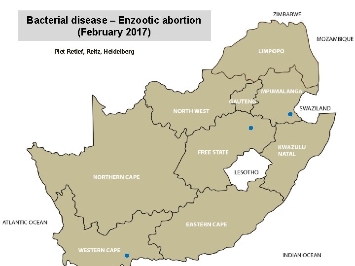 Bacterial disease – Enzootic abortion (February 2017) kjkjnmn Piet Retief, Reitz, Heidelberg 