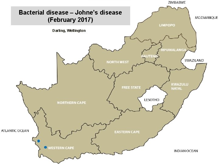 Bacterial disease – Johne’s disease (February 2017) kjkjnmn Darling, Wellington 