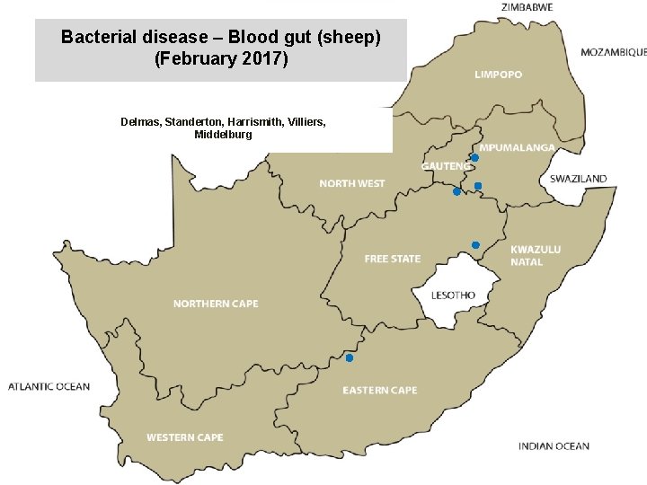 Bacterial disease – Blood gut (sheep) (February 2017) kjkjnmn Delmas, Standerton, Harrismith, Villiers, Middelburg