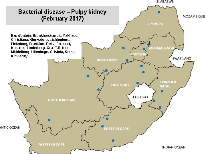 Bacterial disease – Pulpy kidney (February 2017) kjkjnmn Bapsfontein, Bronkhorstspruit, Makhado, Christiana, Klerksdorp, Lichtenburg,