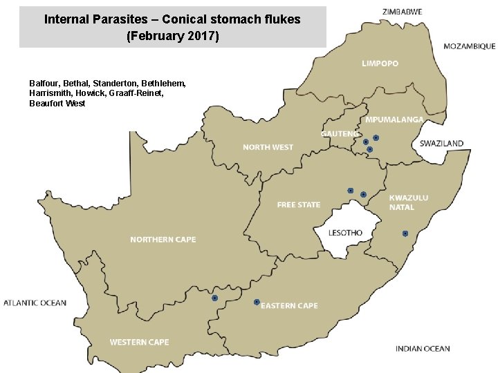 Internal Parasites – Conical stomach flukes (February 2017) jkccff Balfour, Bethal, Standerton, Bethlehem, Harrismith,