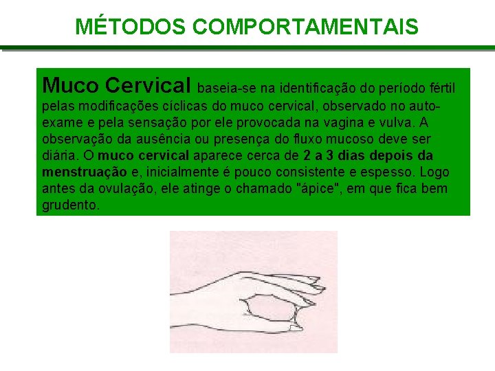 MÉTODOS COMPORTAMENTAIS Muco Cervical baseia-se na identificação do período fértil pelas modificações cíclicas do