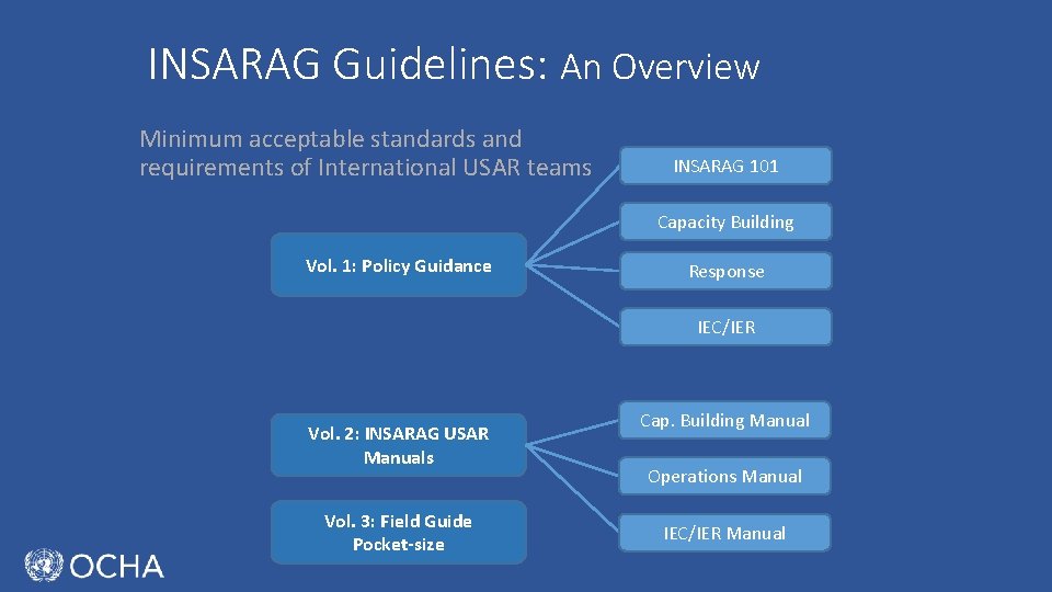 INSARAG Guidelines: An Overview Minimum acceptable standards and requirements of International USAR teams INSARAG