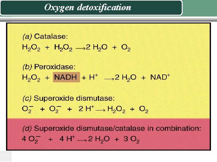 Oxygen detoxification 