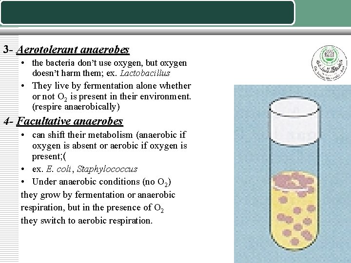 3 - Aerotolerant anaerobes • the bacteria don’t use oxygen, but oxygen doesn’t harm 3 - Aerotolerant anaerobes • the bacteria don’t use oxygen, but oxygen doesn’t harm