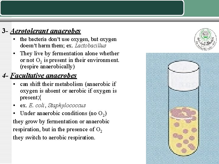 3 - Aerotolerant anaerobes • the bacteria don’t use oxygen, but oxygen doesn’t harm