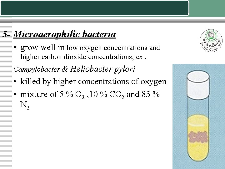 5 - Microaerophilic bacteria • grow well in low oxygen concentrations and higher carbon