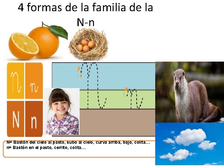 4 formas de la familia de la N-n N= Bastón del cielo al pasto,