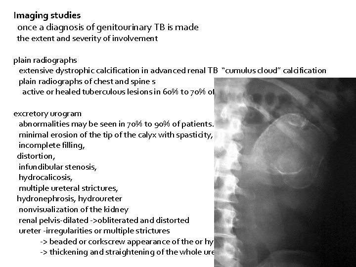 Imaging studies once a diagnosis of genitourinary TB is made the extent and severity
