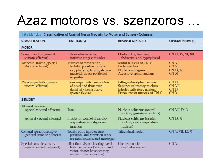 Azaz motoros vs. szenzoros … 