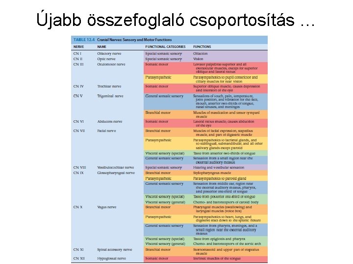 Újabb összefoglaló csoportosítás … 